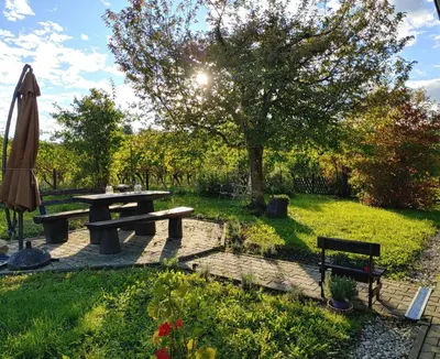 a picnic table and an umbrella in a garden at POČITNIŠKA HIŠA PRLEČKA in Miklavž pri Ormožu
