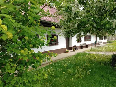 a white house with a bench in a yard at POČITNIŠKA HIŠA PRLEČKA in Miklavž pri Ormožu