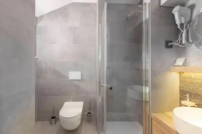 a bathroom with a shower and a toilet and a sink at Farm Stay Ivankotovi in Prem