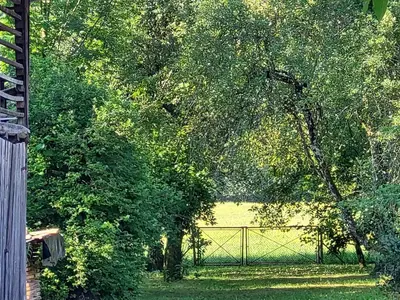 a fence in front of a field with trees at Domačija pri Ivankovih in Osilnica