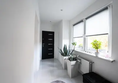 a white hallway with potted plants and a black door at Luxe Apartments in Ljutomer