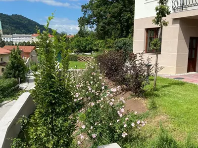 a garden with pink flowers in front of a building at Vila Maister in Celje
