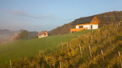 a house on top of a green hill at Villa Strtenica in the vineyard in Pristava pri Mestinju
