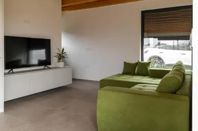 a living room with a green couch and a flat screen tv at Villa Strtenica in the vineyard in Pristava pri Mestinju