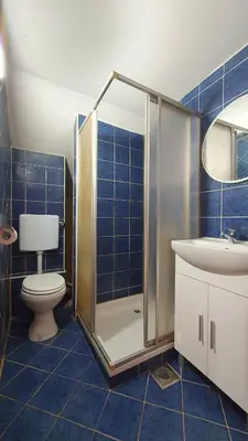 a bathroom with a shower and a toilet and a sink at Rooms and apartments Biš in Trnovska Vas