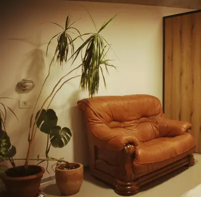 a brown leather chair in a room with plants at GARAGE HOSTEL in Nova Gorica