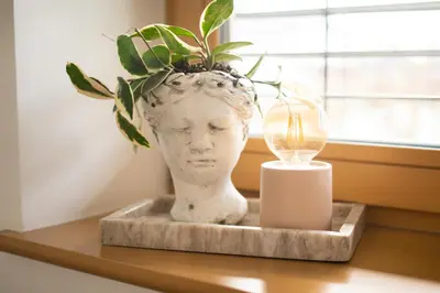 a plant in a vase on a table next to a candle at Home Away From Home in Radovljica