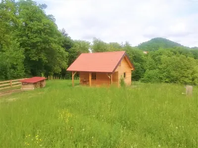 a wooden cabin in a field of green grass at Jelenova lesena hiška in Loče pri Poljčanah