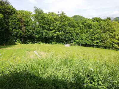 a field of grass with a fence and trees at Jelenova lesena hiška in Loče pri Poljčanah