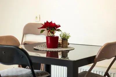 a table with a red flower on top of it at Central apartment great for couples or small families in Ljubljana