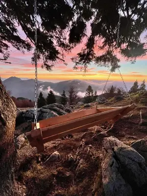 a swing hanging from a tree with a sunset in the background at Koča Kronca - Velika planina in Stahovica