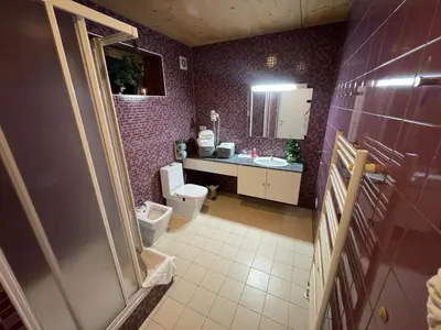 a bathroom with a toilet and a sink and a mirror at Family Apartments Terme Topolšica - Pušpan in Topolšica