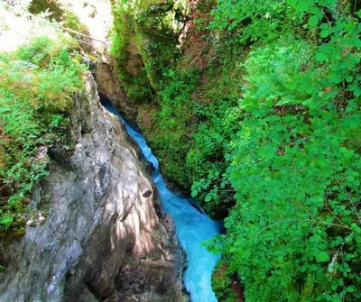 an aerial view of a river in a forest at Apartment Kamnik-apartment with a large terrace in Kamnik