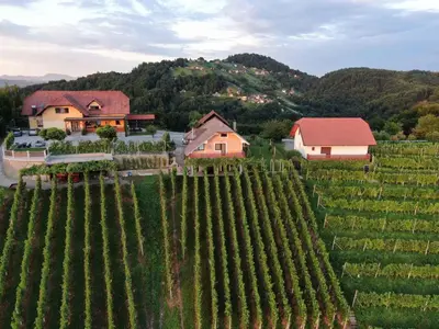 an aerial view of a vineyard in front of a house at Holiday home in Mirna Kranjska Krain 36158 in Mirna