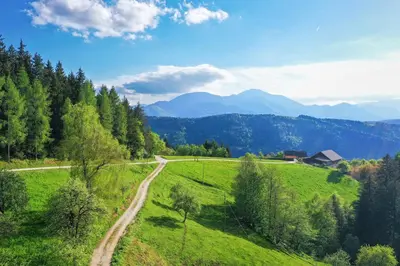 a road in the middle of a green field with trees at Villa Richterberg with Sauna & Hot Tub in Slovenj Gradec