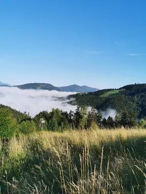 a view of a field of clouds in the hills at Villa Richterberg with Sauna & Hot Tub in Slovenj Gradec