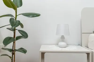 a plant sitting next to a table with a lamp at SEDAMI in Maribor
