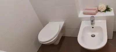 a white bathroom with a toilet and a bidet at Apartma Vita in Moravske Toplice