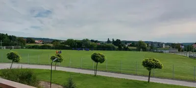 a park with trees in the middle of a field at Apartma Vita in Moravske Toplice