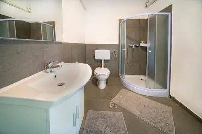 a bathroom with a sink and a toilet and a shower at P & B Apartment in Ljubljana