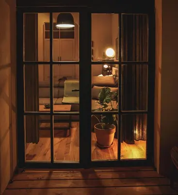 a window view of a room with a potted plant at Grossmann Apartment in Ljutomer