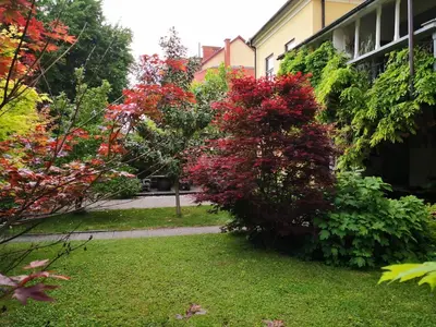 a garden with colorful bushes and a building at Grossmann Apartment in Ljutomer