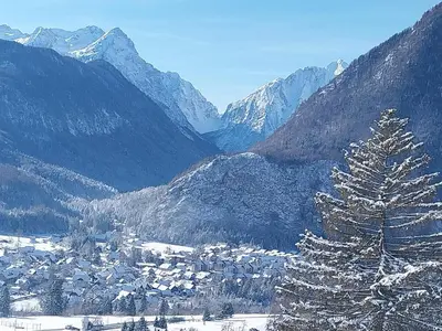 a snow covered mountain with a town and a pine tree at Apartma Praprot in Mojstrana