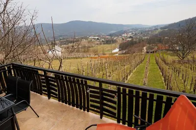 a balcony with a view of a vineyard at Vineyard cottage Cvitkovič in Adlešiči