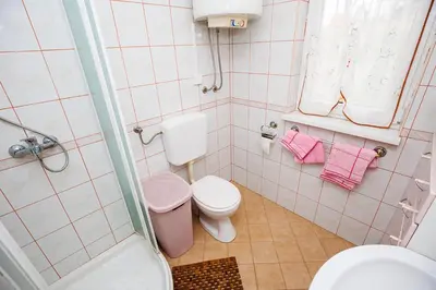 a bathroom with a toilet and a shower with pink towels at Vineyard cottage Cvitkovič in Adlešiči