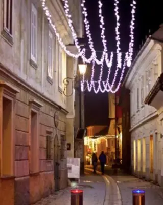 a street with christmas lights hanging from a building at Beehive cabin on a farm in Radovljica