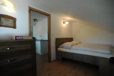a bedroom with a bed and a dresser and a mirror at Turistična kmetija Izgoršek in Griže