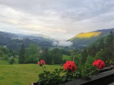 a view of a mountain valley with red flowers at APARTMA BREST in Gornji Grad