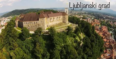 a castle on top of a hill with trees at Cara's house in Ljubljana