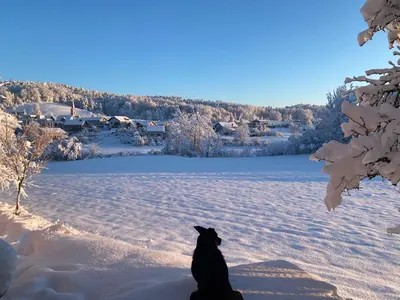 a black dog sitting in the snow at Cara's house in Ljubljana