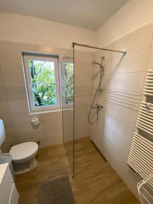 a bathroom with a glass shower stall and a toilet at Apartma Magnolija in Nova Gorica
