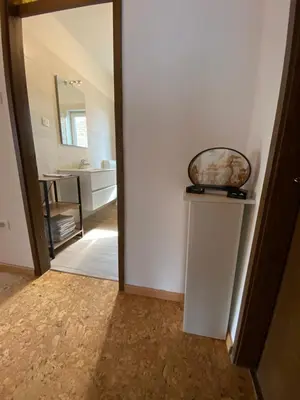 a hallway with a mirror and a sink in a bathroom at Apartma Magnolija in Nova Gorica