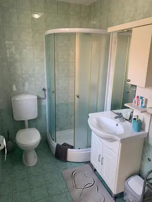 a bathroom with a shower and a toilet and a sink at Lotty in Čatež ob Savi