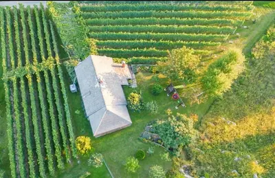 an aerial view of a house in the middle of a field at Cottage near river Kolpa, vineyards,top location. in Adlešiči