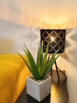 a potted plant sitting on a table next to a lamp at Keleia Nova Vas Design Apartment Celje in Celje