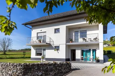a white house with a stone wall at Apartment Dalija - Cosy Apartment & Rooms with Massage Studio in Podčetrtek