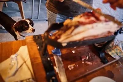 a dog standing next to a table with pizza at Ferjančič estate rooms in Ajdovščina