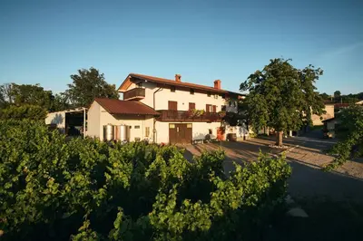 a white house with a tree and a yard at Ferjančič estate rooms in Ajdovščina