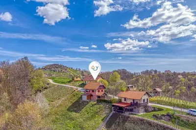 an air balloon flying over a house on a hill at Vineyard Cottage Vesna Lake View - Happy Rentals in Veliki Vrh