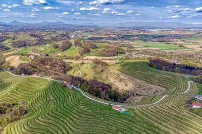 an aerial view of a farm with fields and trees at Vineyard Cottage Vesna Lake View - Happy Rentals in Veliki Vrh