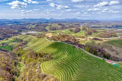 an aerial view of a farm field on a hill at Vineyard Cottage Vesna Lake View - Happy Rentals in Veliki Vrh