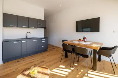 a kitchen with a table and chairs in a room at WINERY AND APARTMENTS MAROF in Bistrica ob Sotli