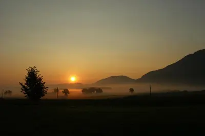 a sunset in a field with a tree in the foreground at WINERY AND APARTMENTS MAROF in Bistrica ob Sotli