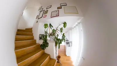 a staircase in a house with a plant at Hiša ob stolpu in Lendava