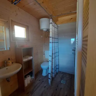 a bathroom with a toilet and a sink and a shower at Brunarica Jeršin in Cerkno