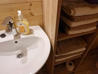 a bathroom sink with a bottle of soap on it at Brunarica Jeršin in Cerkno